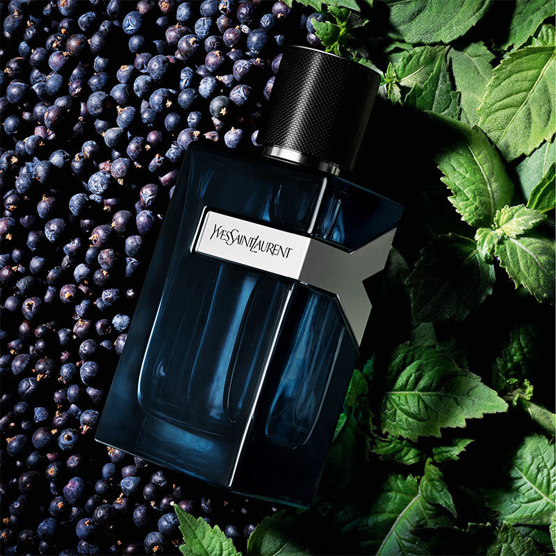 Yves Saint Laurent - y Men Intense (Eau de Parfum Intens)